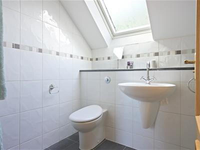 Picture 39